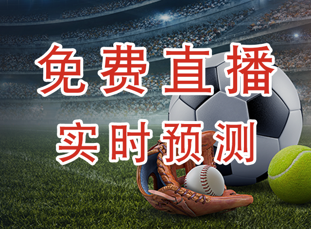 明尼苏达森林狼
